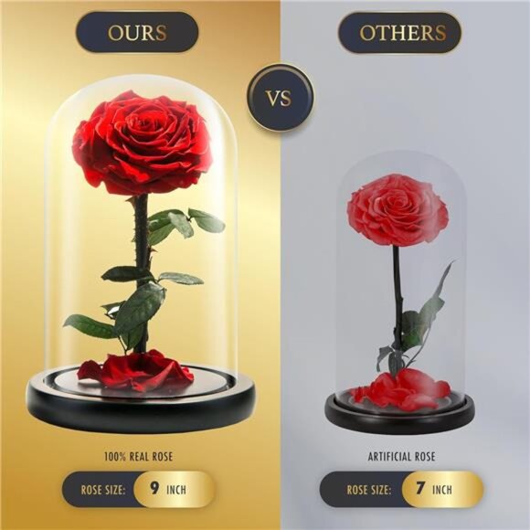 Forever Preserved Rose - Eternal Rose in Glass Dome - Beauty and The Beast Rose - Picture 4 of 7